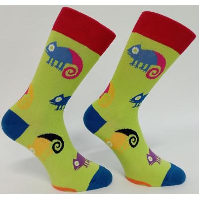 Dospělé ponožky Leon