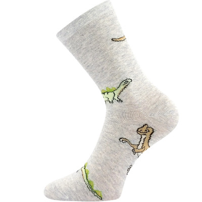 Chlapecké ponožky Dinosaurus