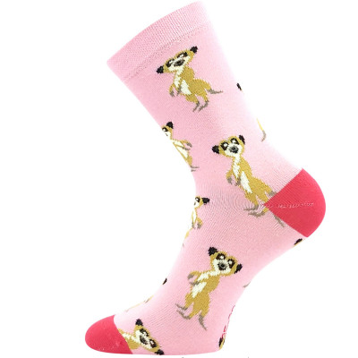 Dívčí ponožky Surikaty B