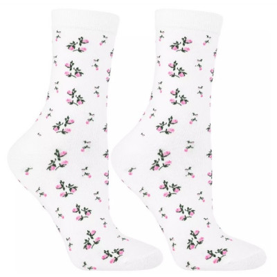 Dámské ponožky CSL250-051